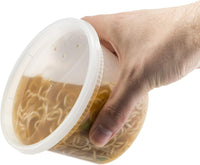 24 oz Deli Container - 240/Case